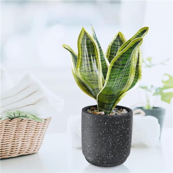 3 Pack Small Potted Artificial Plants Faux Greenery Rosemary Boxwood Snake Plant - Picture 6 of 8